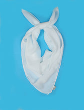 Load image into Gallery viewer, بندانة مربعة
